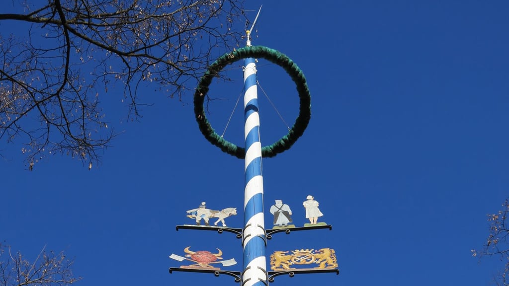 1. Mai München: Maifest und Maibaum Aufstellen am Rotkreuzplatz