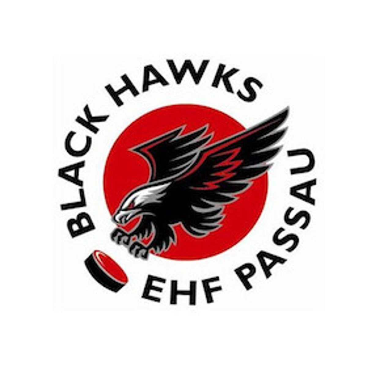 Erding Gladiators – Passau Black Hawks