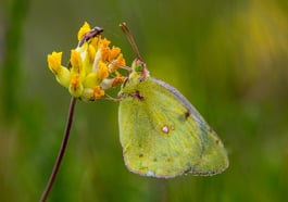 Entdecke die Mikrowelt