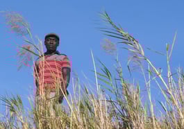 Passage: Karimah Ashadu – Plateau