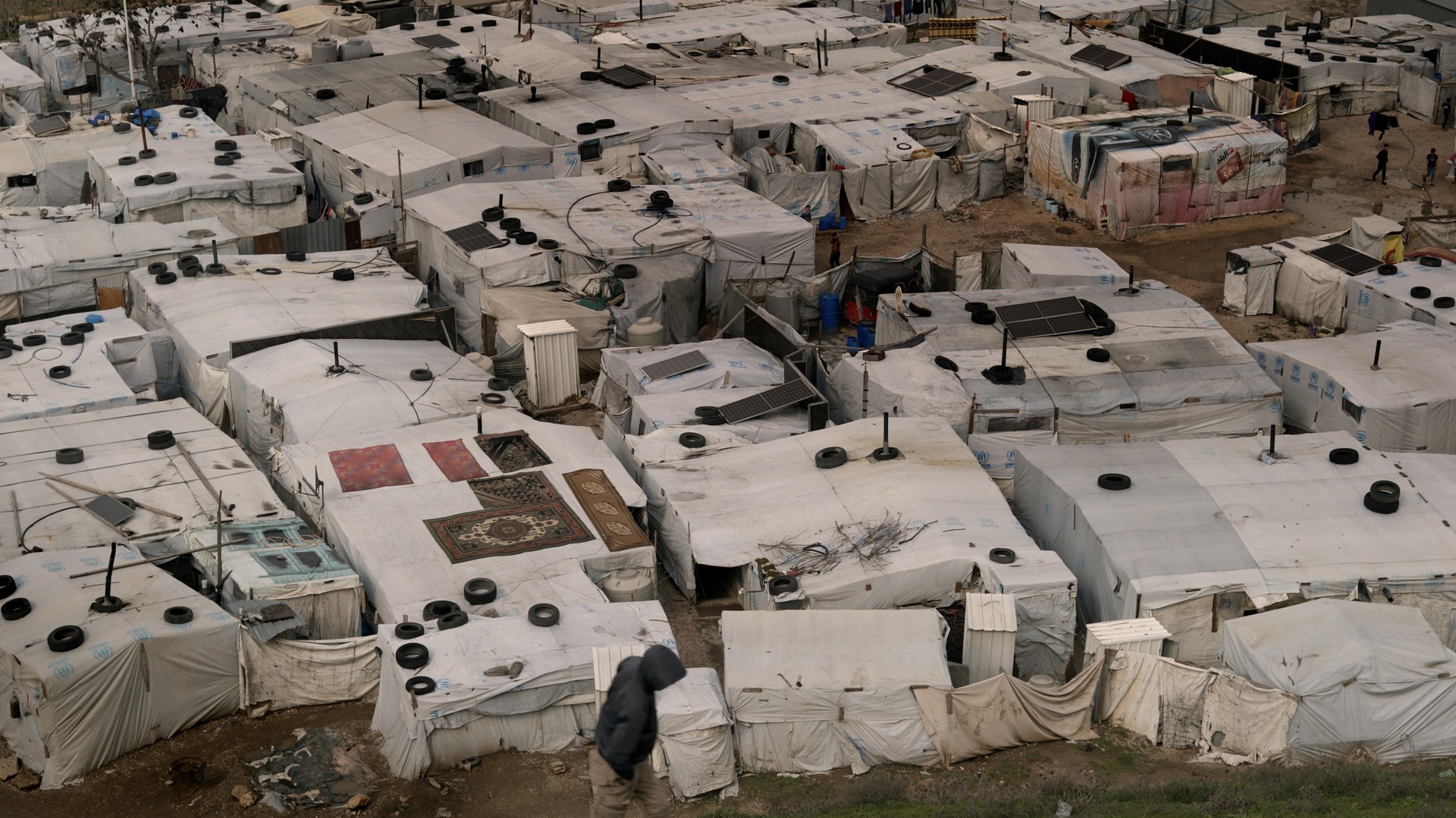 Bilder aus Solidarity