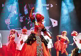 Alice in an Amazing World