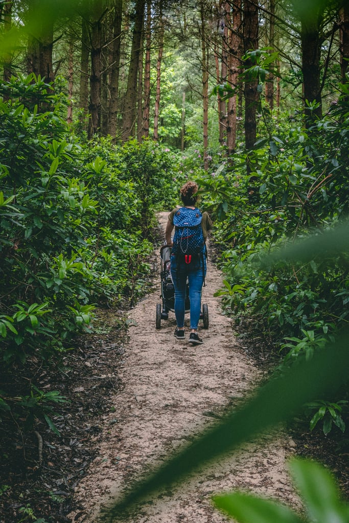 Wanderung mit Kinderwagen München und Umgebung