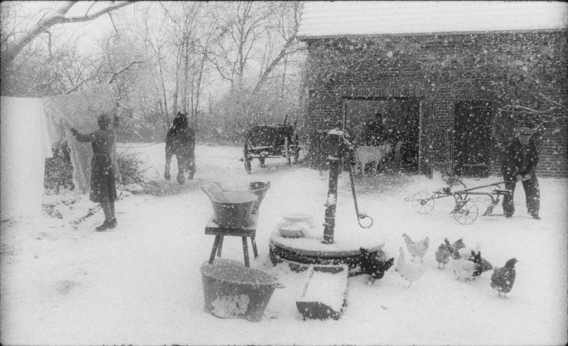Bilder aus Rote Sterne überm Feld