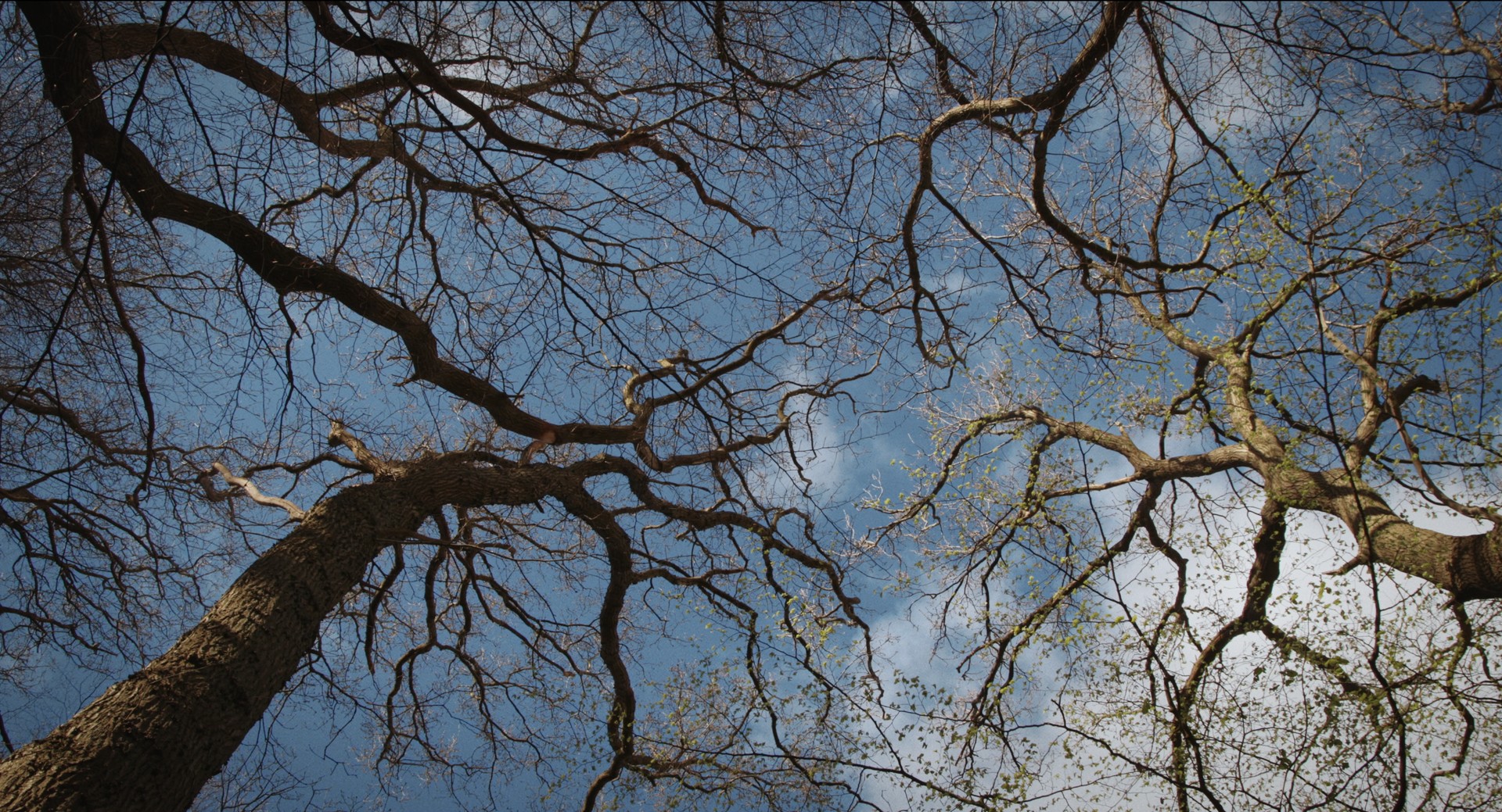 Bilder aus Das Ungesagte