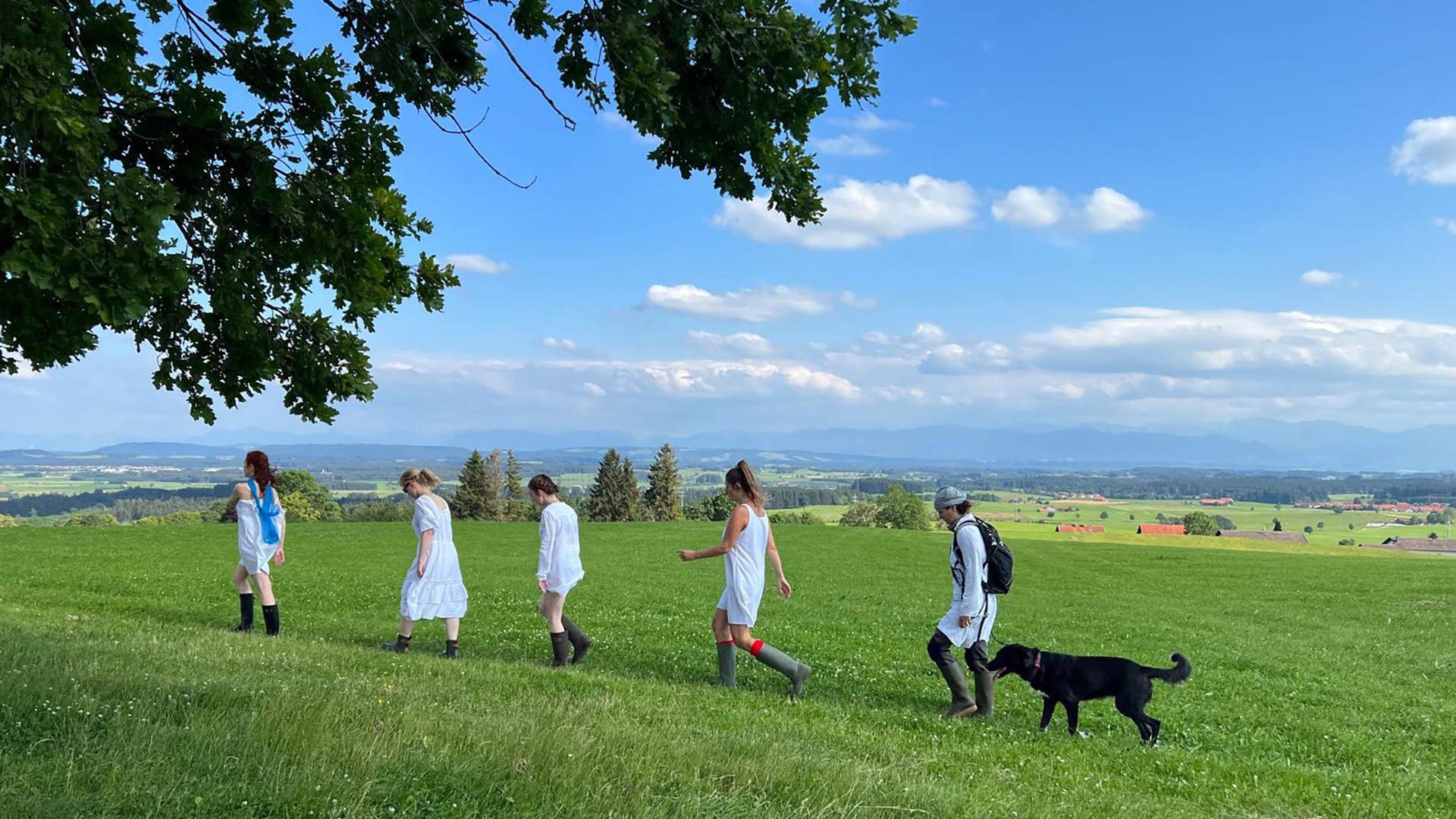 Bilder aus Überall gibt es ein Hausen