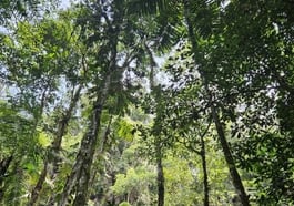 Menschen – Umwelt – Wissen: Umweltmonitoring in Amazonien
