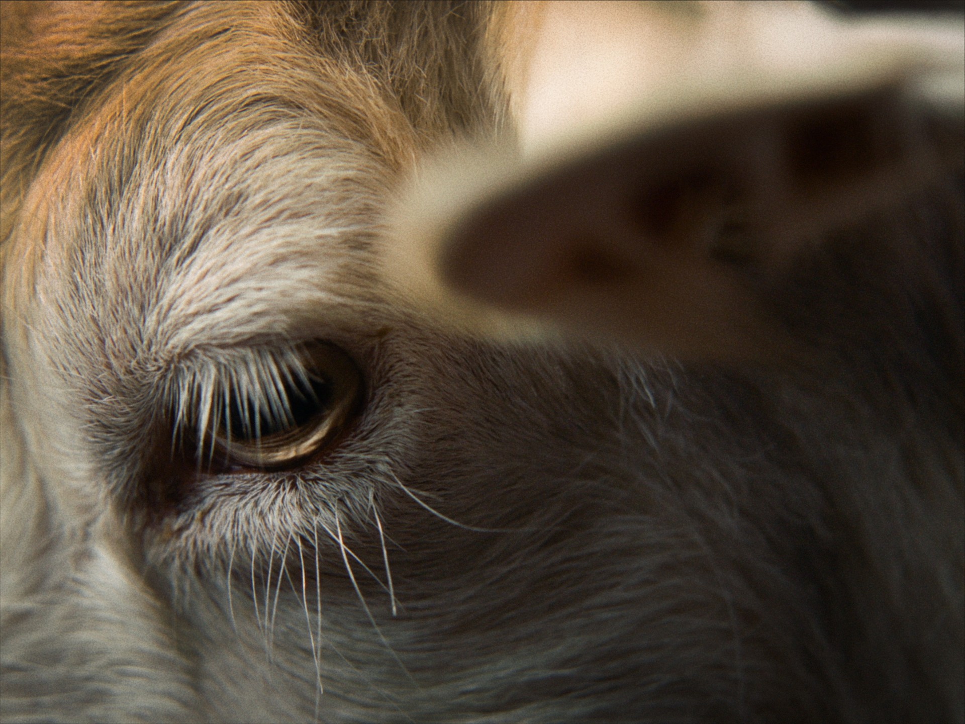 Bilder aus Stille Beobachter