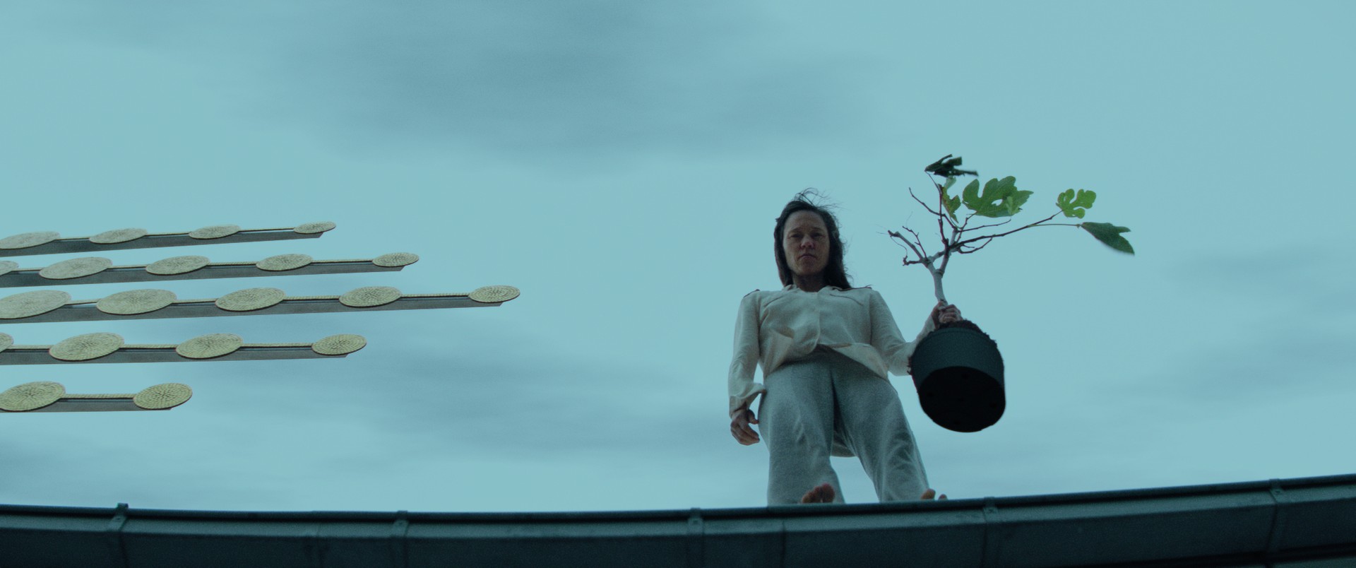 Bilder aus Chaos und Stille