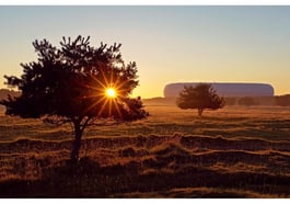 Im Herbst Altes abschütteln