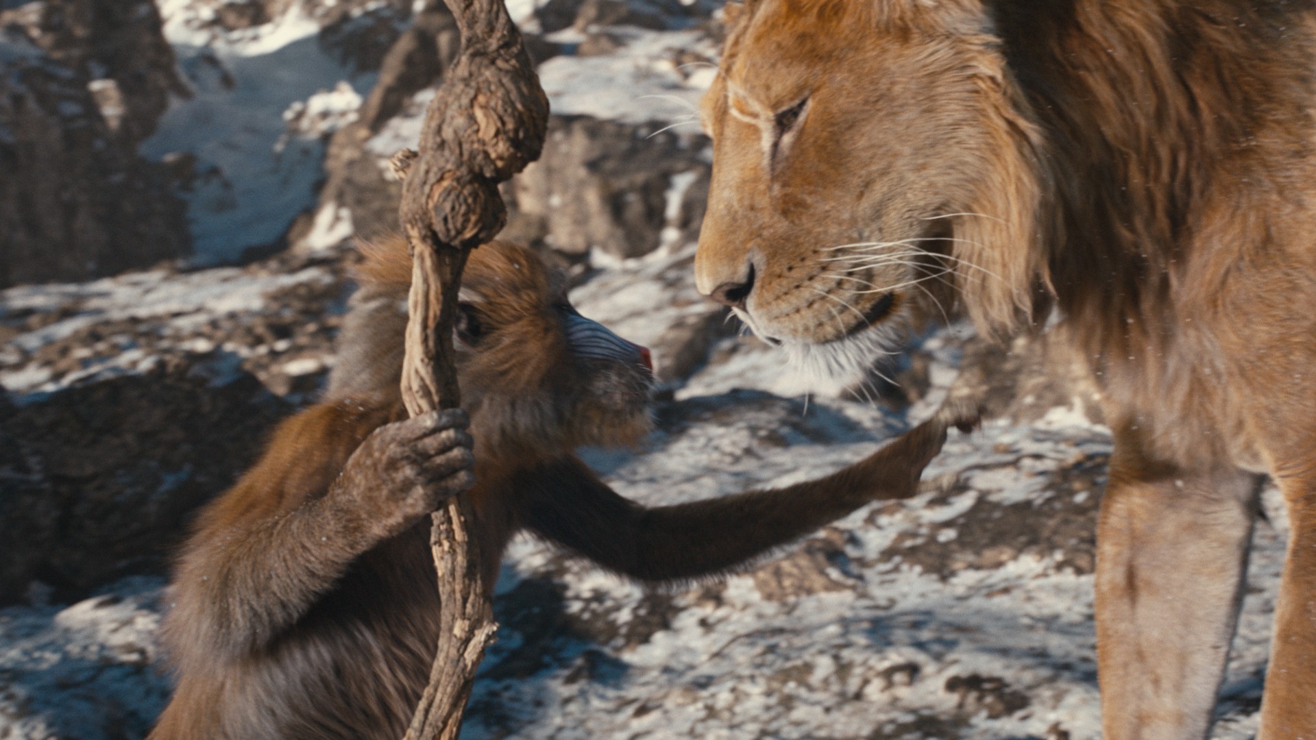 Bilder aus Mufasa: Der König der Löwen (ukrainische Fassung)