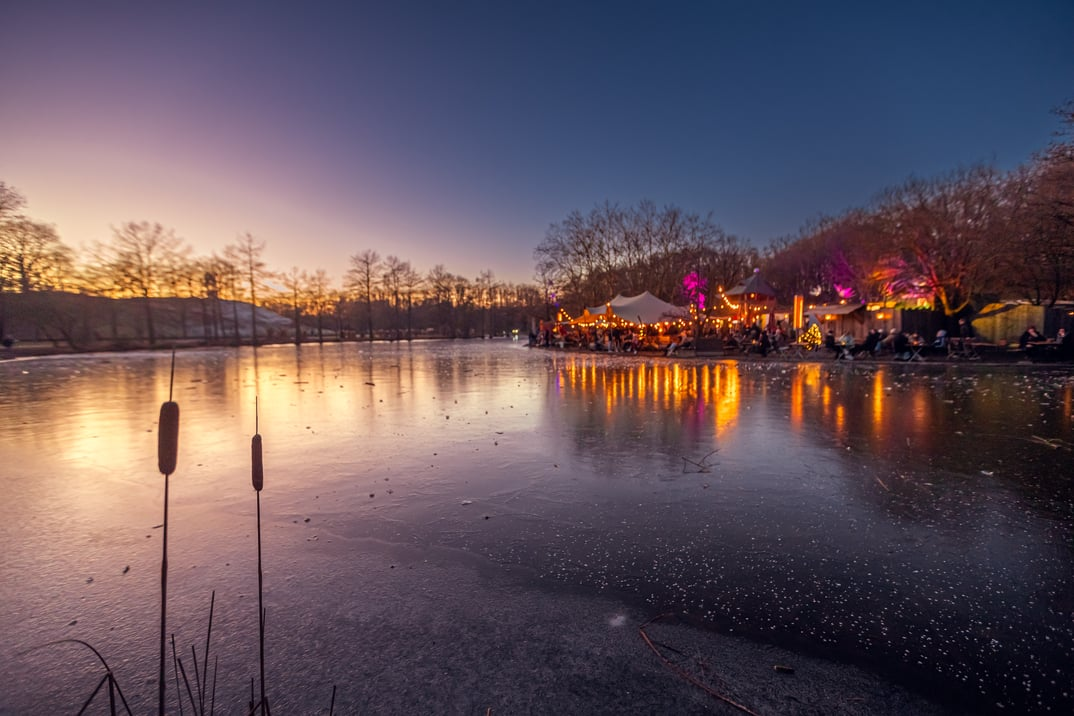 Winterzauber Gans am Wasser