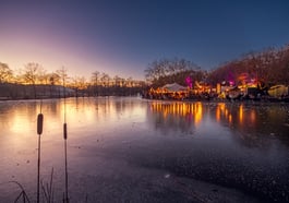 Winterzauber Gans am Wasser