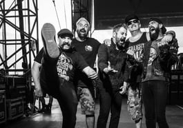 Zebrahead
