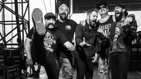 Zebrahead