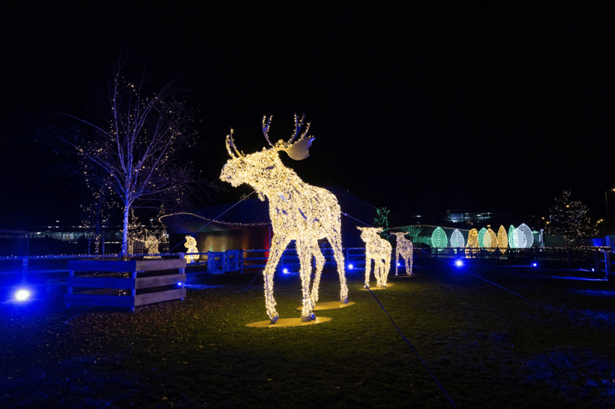 Lumagica – Lichterpark München