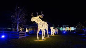 Lumagica – Lichterpark München