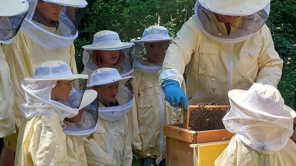 Berg am Laimer Bienentag