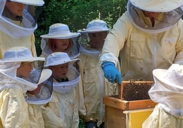 Berg am Laimer Bienentag