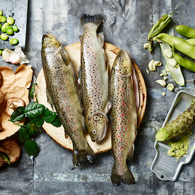 Fischessen am Aschermittwoch in München 