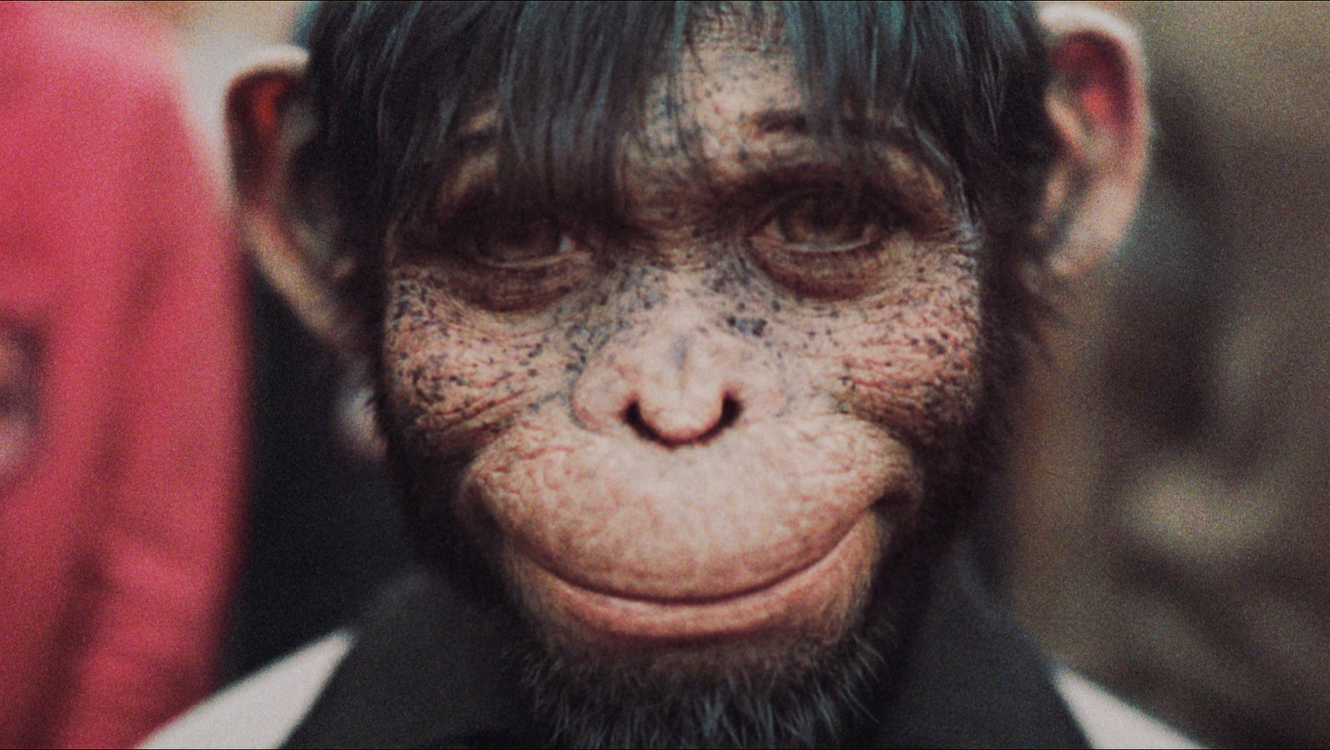 Bilder aus Better Man - Die Robbie Williams Story
