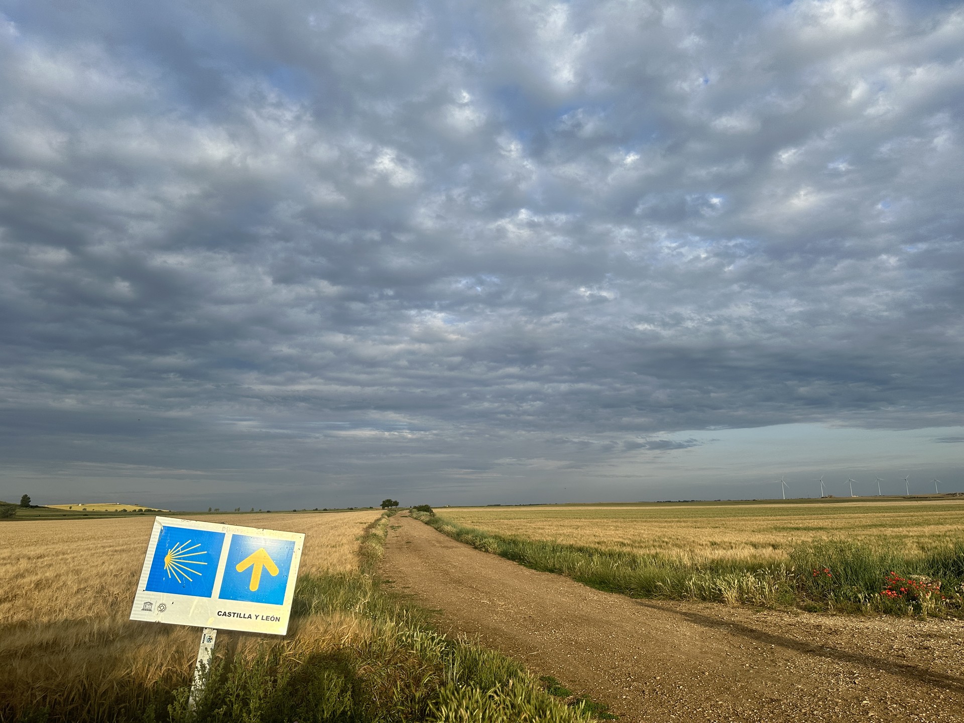 Bilder aus Mein Weg - 780 km zu mir