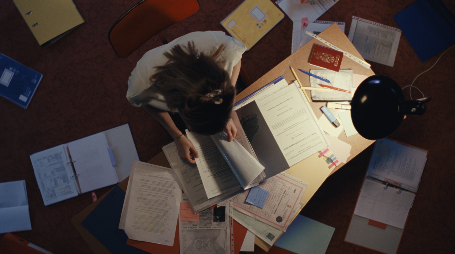 Bilder aus Noch lange keine Lipizzaner