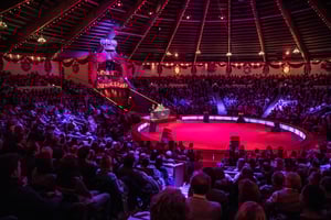 Circus Krone: Der einzige Zirkus mit festem Gebäude