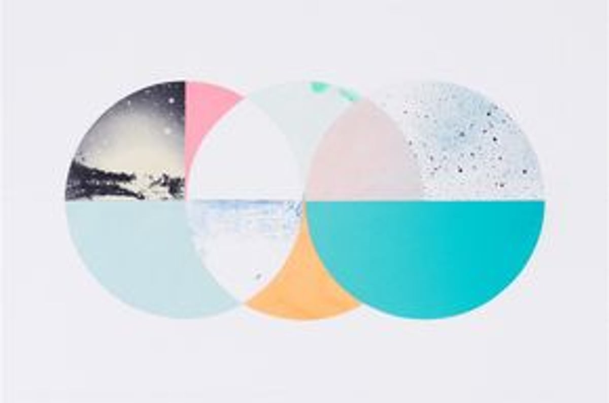 Judith Karcheter: Palme Stoff Papier