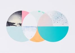 Judith Karcheter: Palme Stoff Papier