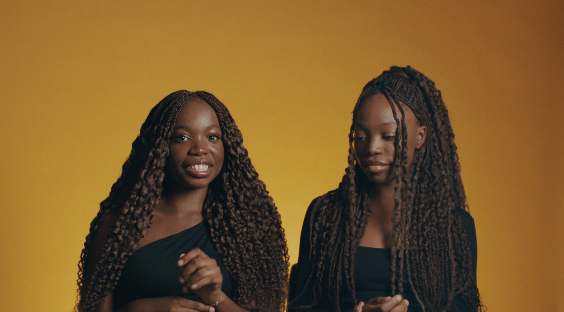 Bilder aus Noch lange keine Lipizzaner