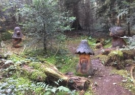 Märchenwanderung – Eine Reise zu den Bäumen aus aller Welt