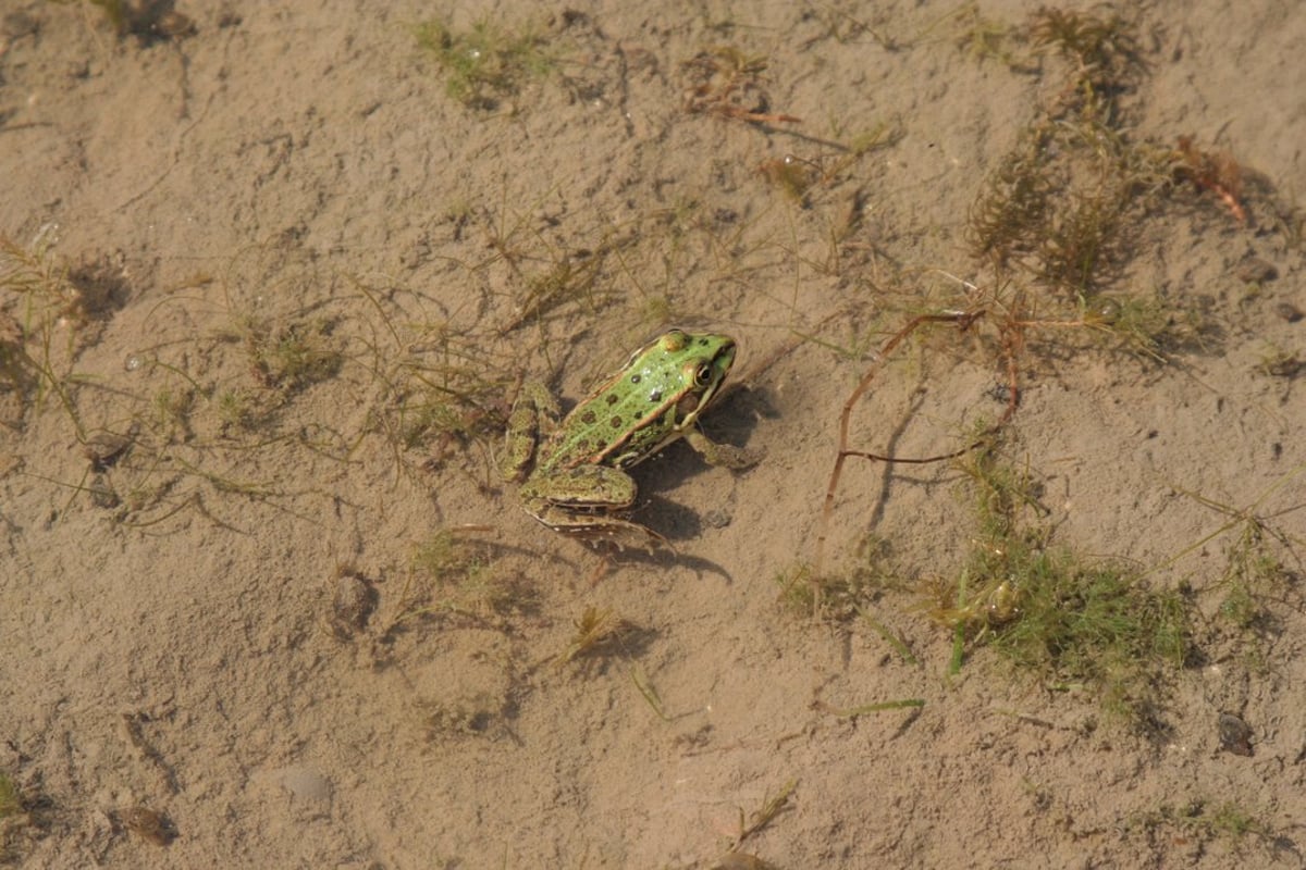 Mensch und Natur in der Heide