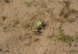 Mensch und Natur in der Heide