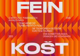 Feinkošt – Deutsch-tschechische Kurzfilme
