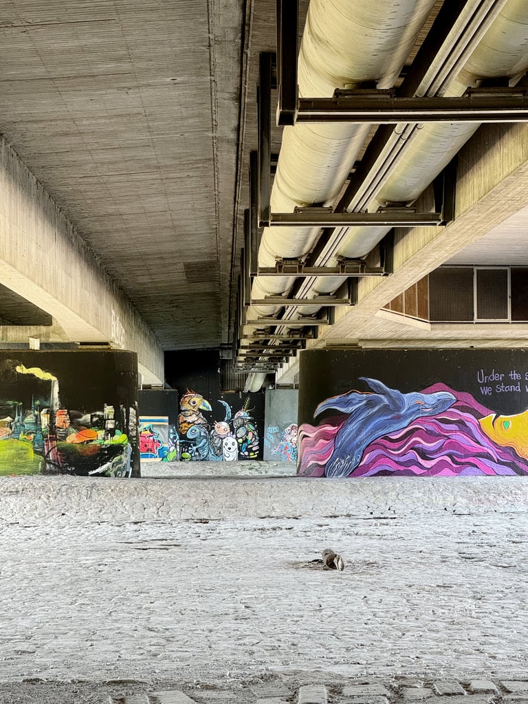 Bunte Streetart und Graffiti an den Pfeilern der Brudermühlbrücke in München bei der Kunstaktion Dosenöffner