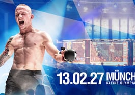 We Love MMA