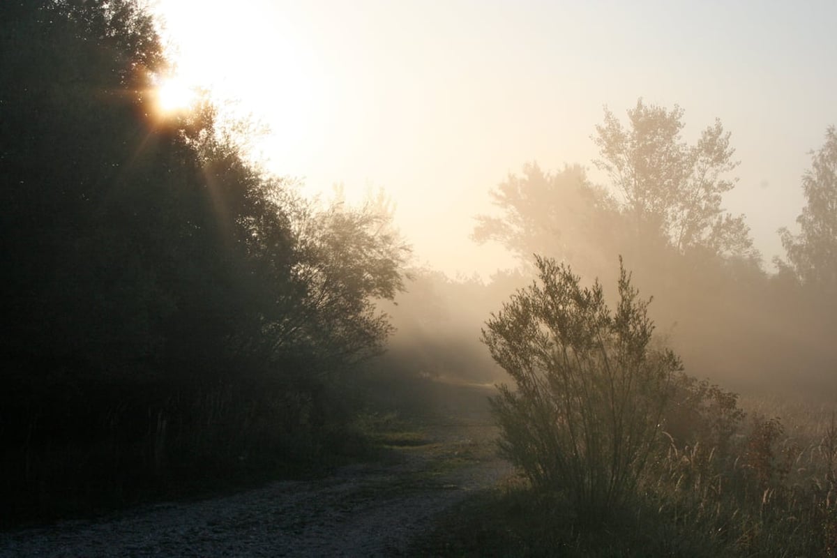 Wie der Rabe das Licht brachte