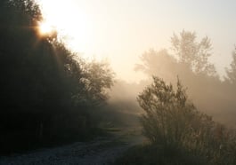 Wie der Rabe das Licht brachte