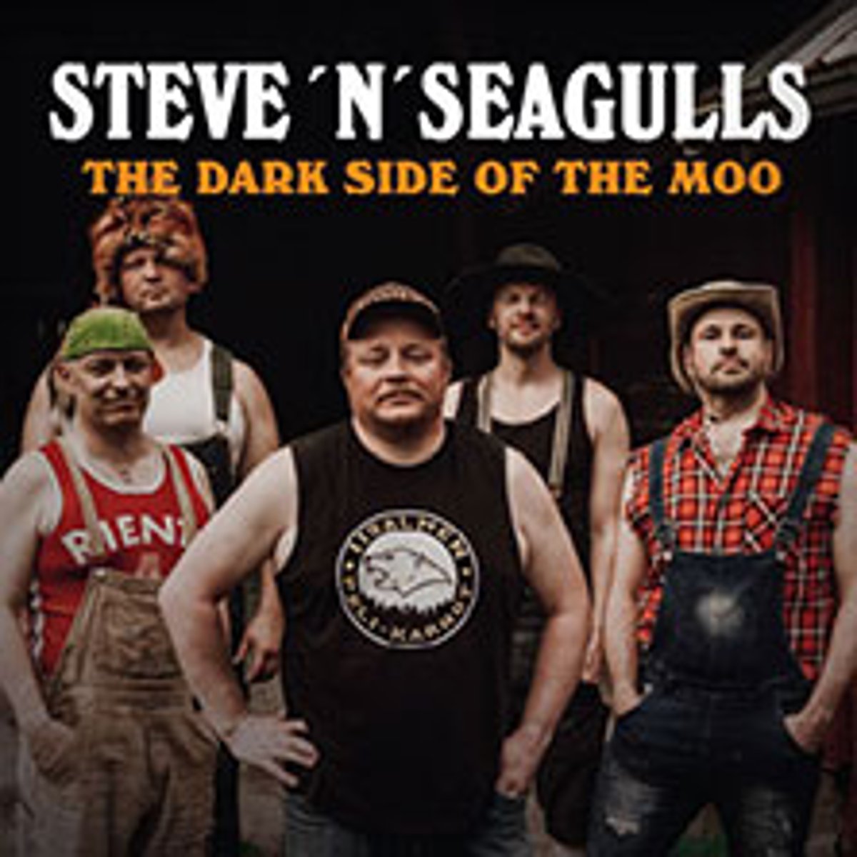 Steve ’n‘ Seagulls