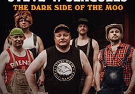 Steve ’n‘ Seagulls
