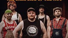 Steve ’n‘ Seagulls