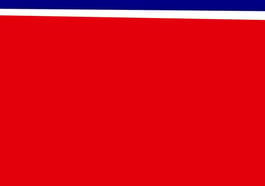 Im Dickicht der Stadt