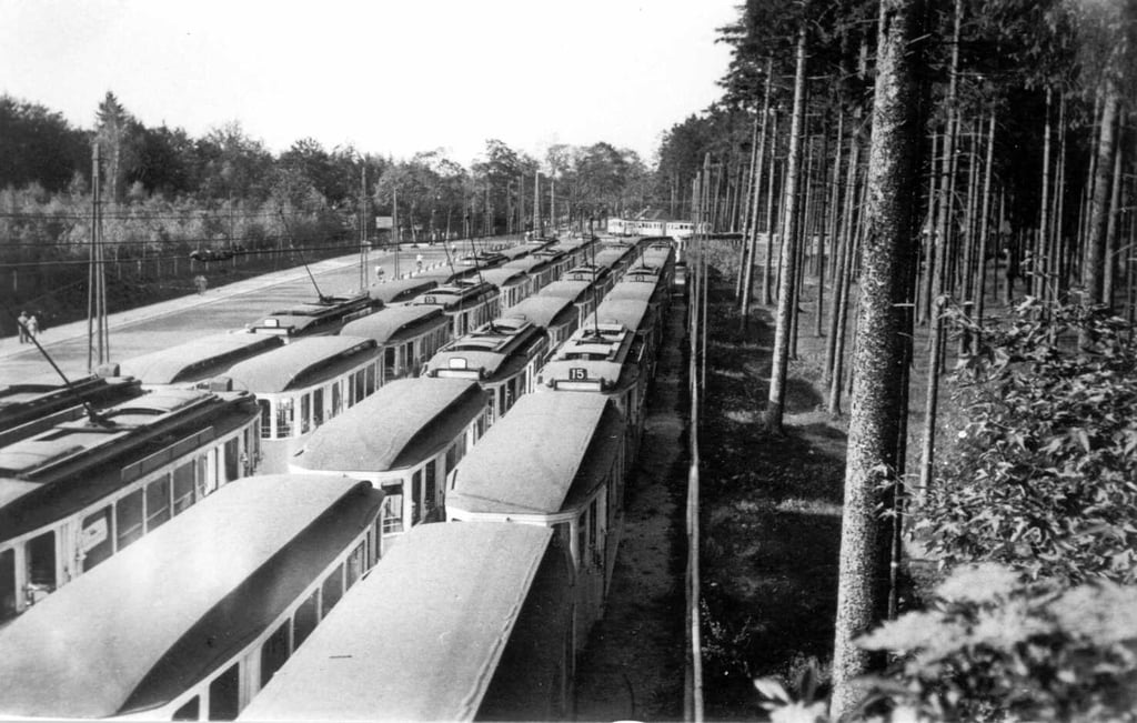Row of vintage tramcars lined up on tracks beside a forested area and power lines, viewed from an elevated angle.