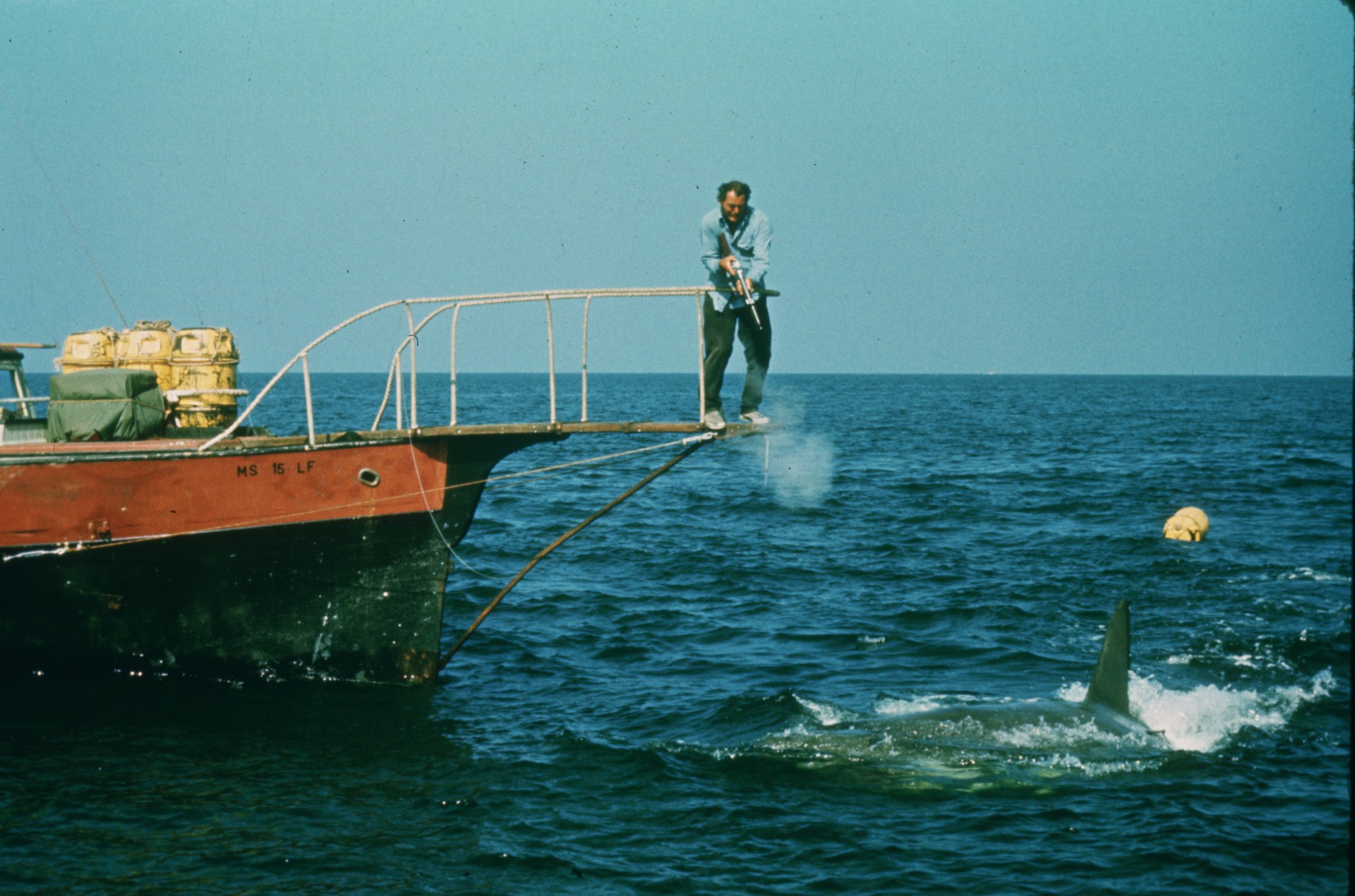 Bilder aus Der weiße Hai