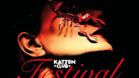 Katzenclub Festival