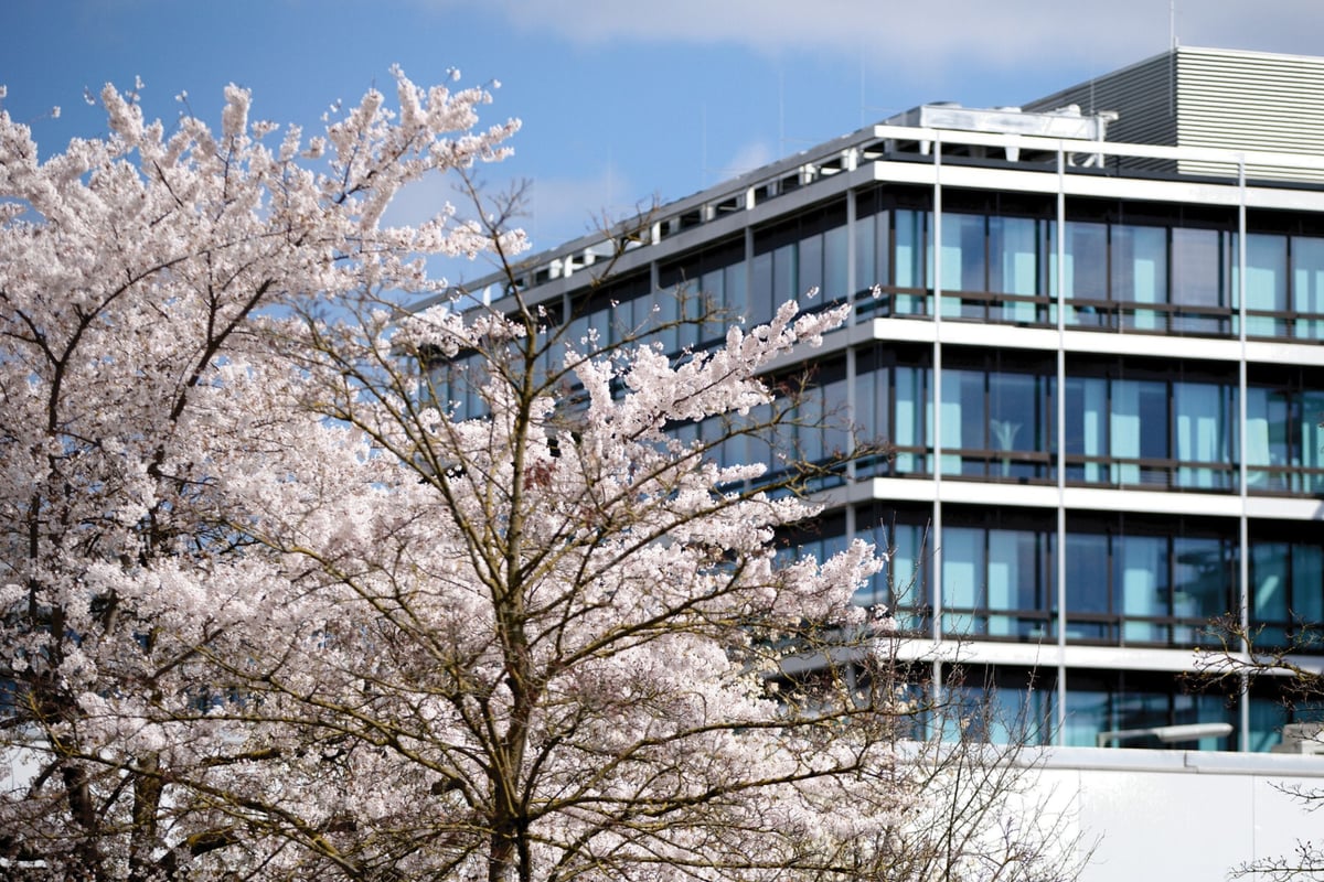 SEP RUF – Architekt der Moderne