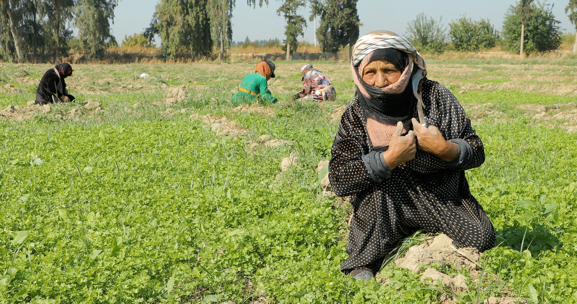 Bilder aus Trotz Alledem