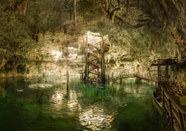 together forever – macht euch die Erde untertan?