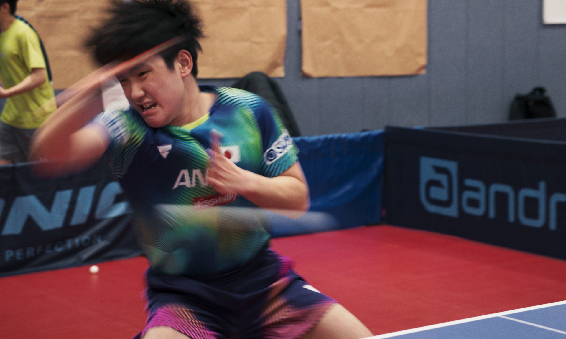 Bilder aus Ping Pong Paradise